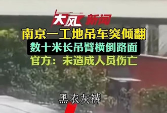 惊恐！南京数十米吊臂突倒塌 男子机警蹲下捡条命