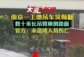 惊恐！南京数十米吊臂突倒塌 男子机警蹲下捡条命