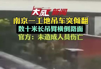 惊恐！南京数十米吊臂突倒塌 男子机警蹲下捡条命