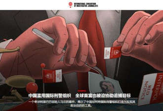 更多内幕：中国“红通”全球追杀，卷入马云赵薇