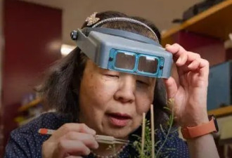 诺奖得主屠呦呦当选美国科学院外籍院士