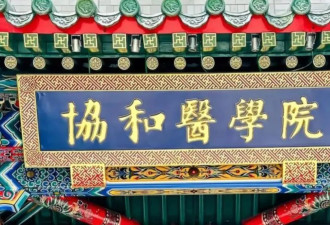 “4+4”被质疑,专家:有严格考试,不是"特权"工具