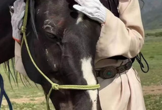 汪峰女友森林北直播首秀：在女霸总和温柔姐姐中切换