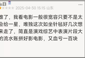 《水饺皇后》首波口碑出炉！电影拍成广告片