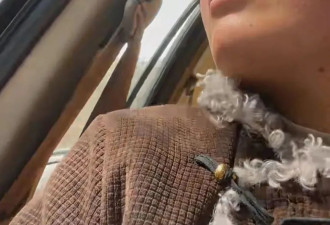 在网红民宿当义工，我的穷游梦碎了