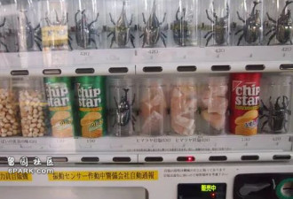 二手内裤自动贩卖机 消费的基本是白人老外