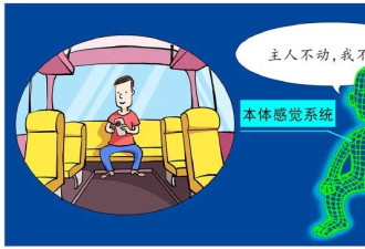 为何人坐车晕，自己开车却不晕？