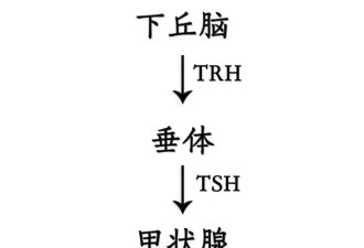 莫生气，你的甲状腺遭不住