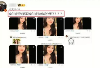 曝李兰迪张新成分手？网友：赤裸裸地炒作