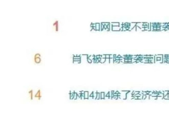 桃色新闻扒出速成医女，董小姐的4+4能有多跨界