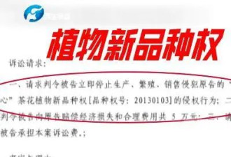 男子卖2盆花被索赔5万！网友：是啥花？