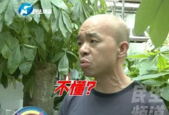男子卖2盆花被索赔5万！网友：是啥花？