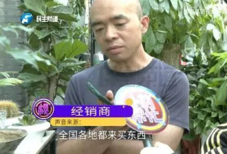 男子卖2盆花被索赔5万！网友：是啥花？
