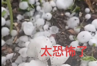 四川青川县遭冰雹袭击，市民：汽车前后窗被砸烂