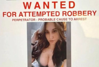 纽约警方竟发“爆乳照”通缉女嫌 民众质疑：故意的？