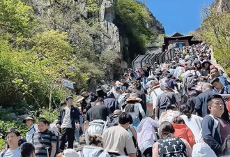 泰山陪爬“忙疯了也赚疯了” 预约排到5月10日