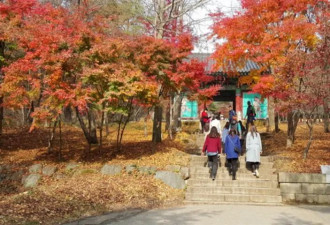 礼山郡修德寺景点简介