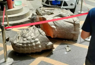 洛阳新安一石狮被车撞毁身首分离，或有数百年历史