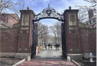 哈佛大学遭遇最新打击！川普：他们应得的
