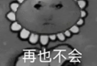 微软CEO和奥特曼失了和，OpenAI被“断粮”