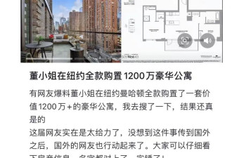董袭莹全款买下纽约豪华公寓...网曝更多内幕