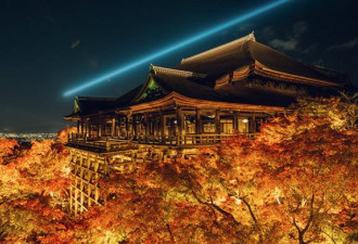 余华 ：在日本旅行，在于细节的迷恋