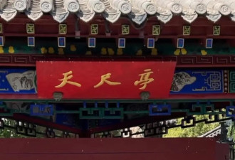 济南趵突泉“猪锦鲤”减肥成功了吗？还是很肥