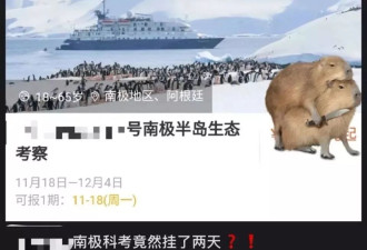 第一批参加科考旅行的中产，已经返贫了