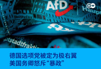 德国选项党被定为极右翼 美国务卿怒斥“暴政”