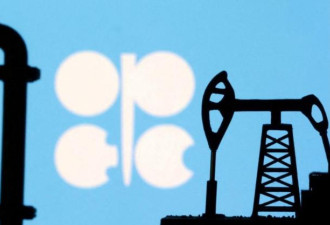 听川普的话，8个OPEC成员国抛震撼弹