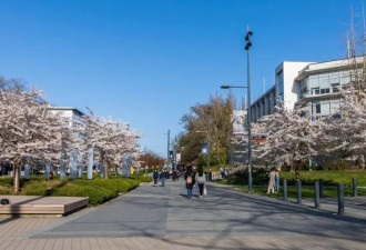 留学生遭遇令人不安！大温两所私立大学 被令退还学费！