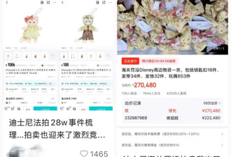 狂抢玲娜贝儿捡漏始祖鸟 “海关拍卖”走红