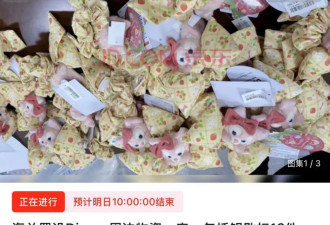 狂抢玲娜贝儿捡漏始祖鸟 “海关拍卖”走红