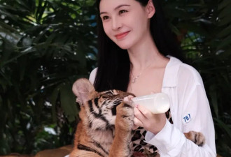 张颖颖火力全开！吐槽马筱梅伪善又绿茶，艳照满天飞还敢内涵大S