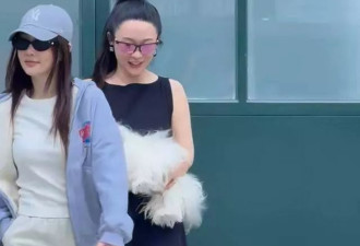 霍思燕夫妇与贾乃亮一家出游，嗯哼甜馨青梅竹马