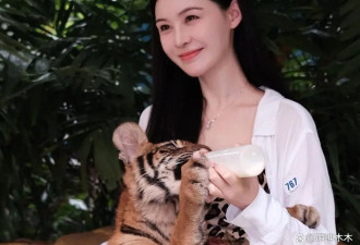 张颖颖火力全开！吐槽马筱梅伪善又绿茶，艳照满天飞还敢内涵大S
