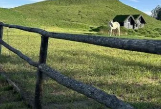 中国山寨富士山爆红 “土堆涂白漆” 网友怒批