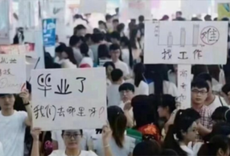 中国城市流浪指南… 网红影片疯传