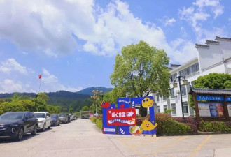 五一最火景点，竟是政府机关食堂？