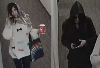 两名黑发女子涉万锦于人村商店内袭击！警方公布照片