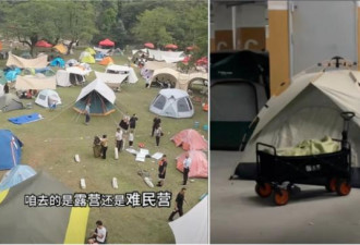 官方五一数据出炉 被讽“编都编不好”