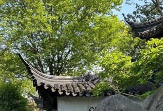 环境变差，不得不做二代