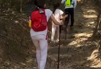 郭晶晶带全家人爬山锻炼，豪门儿媳的影响力太牛了