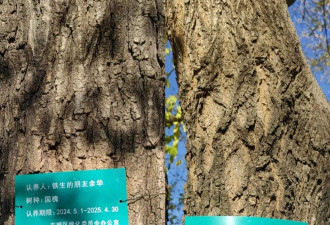 网友喊话余华“地坛公园的树该续费了”，余华神回复