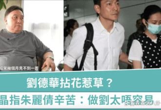 刘德华称财产不用上缴朱丽蒨,过亿身家分成三部分