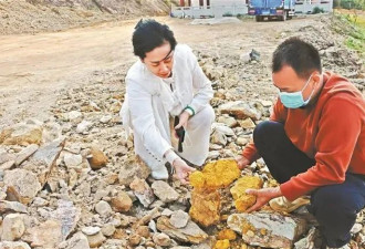 广东一地挖出“黄金土”，专家：具体成分需检测