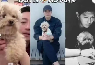 马筱梅发声否认坐台！和神秘男性互动时间线曝光