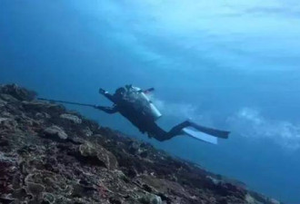 中国女网红印尼溺亡后续 竟是专业潜导