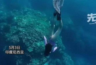 中国女网红印尼溺亡后续 竟是专业潜导
