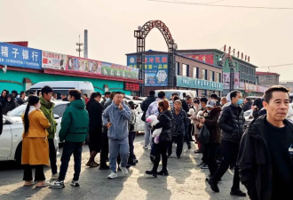超百万只猫狗，从“钢城”卖到全中国...